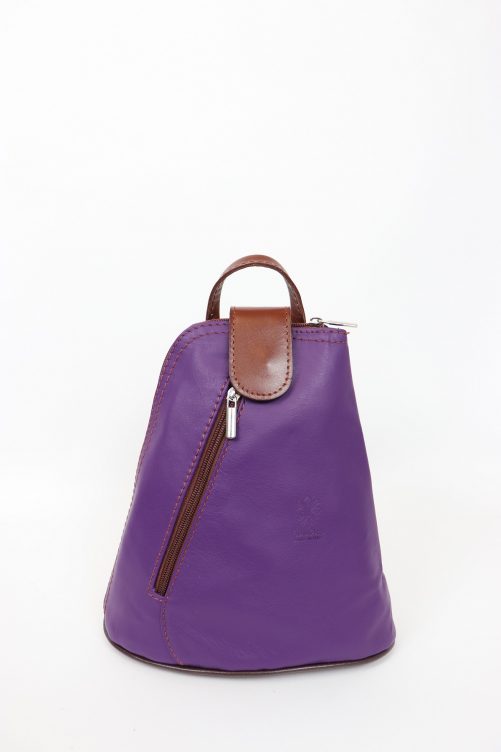 Leather Backpack Small F264