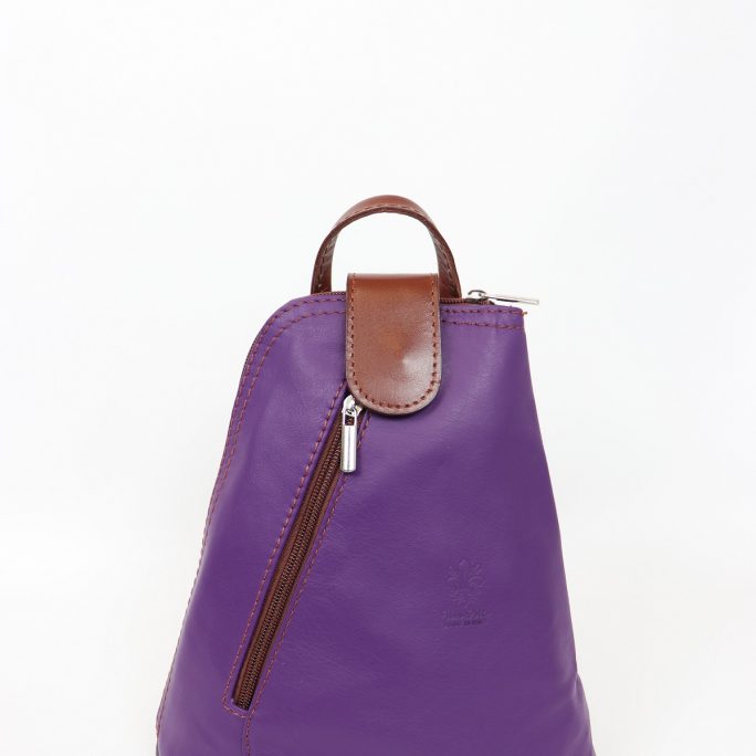 Leather Backpack Small F264