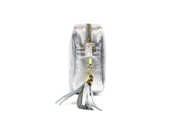 IMG_7024 Metallic Leather Crossbody Bag V329