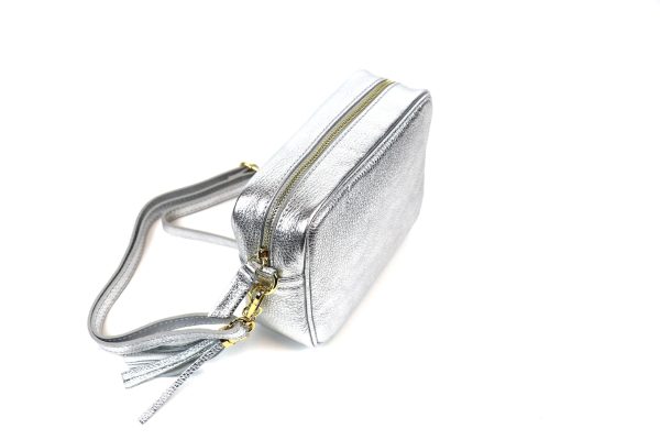 IMG_7079 Metallic Leather Crossbody Bag V329