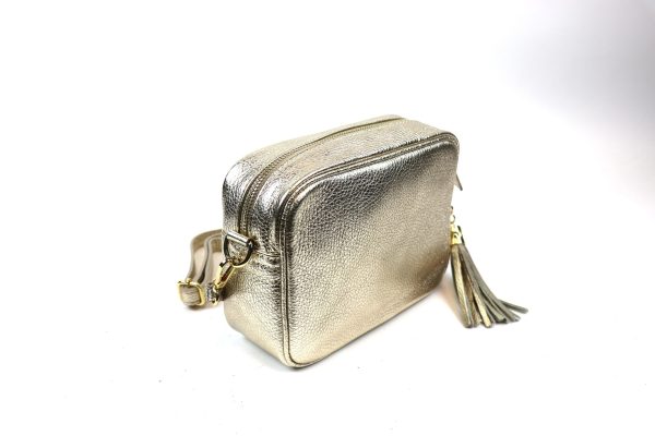 IMG_7285 Metallic Leather Crossbody Bag V329