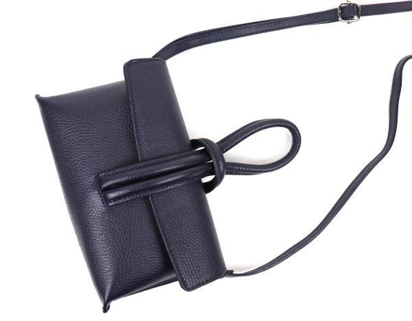 IMG_3365 V311 Crossbody/Wrist/Clutch Bag