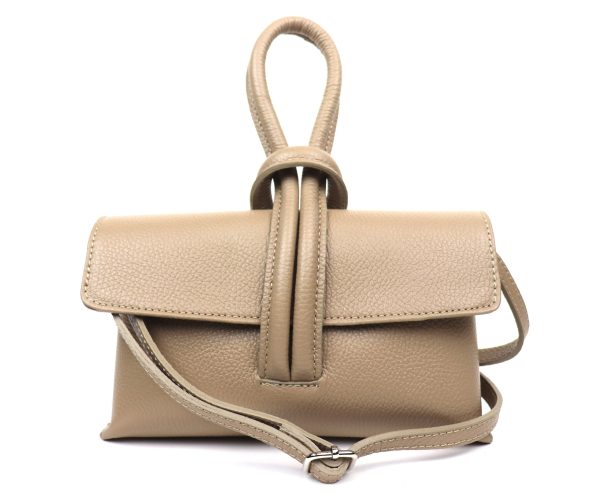 IMG_3409 V311 Crossbody/Wrist/Clutch Bag