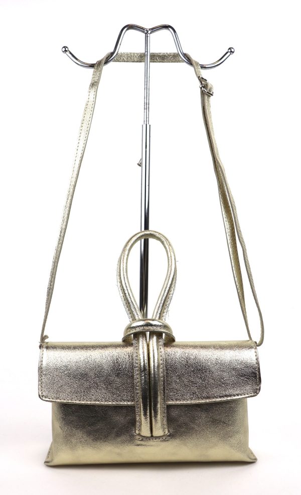 IMG_5506 copy V311 Crossbody/Wrist/Clutch Bag